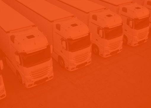 Steve Hale Transport Consultancy FORS Fleet Management